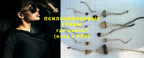 героин Алексин