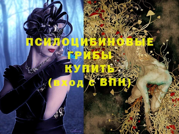 apvp Алзамай