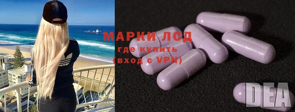 apvp Алзамай