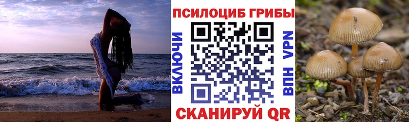 Галлюциногенные грибы мицелий  hydra сайт  Чернушка 