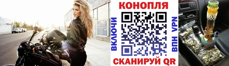 Канабис AK-47 Чернушка